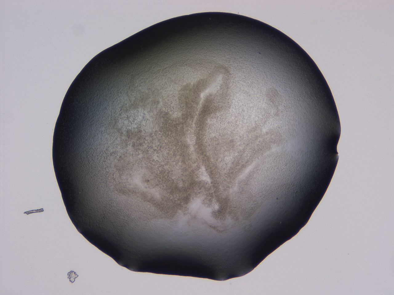 04hp_C3_ImagerDefaults_3.jpg