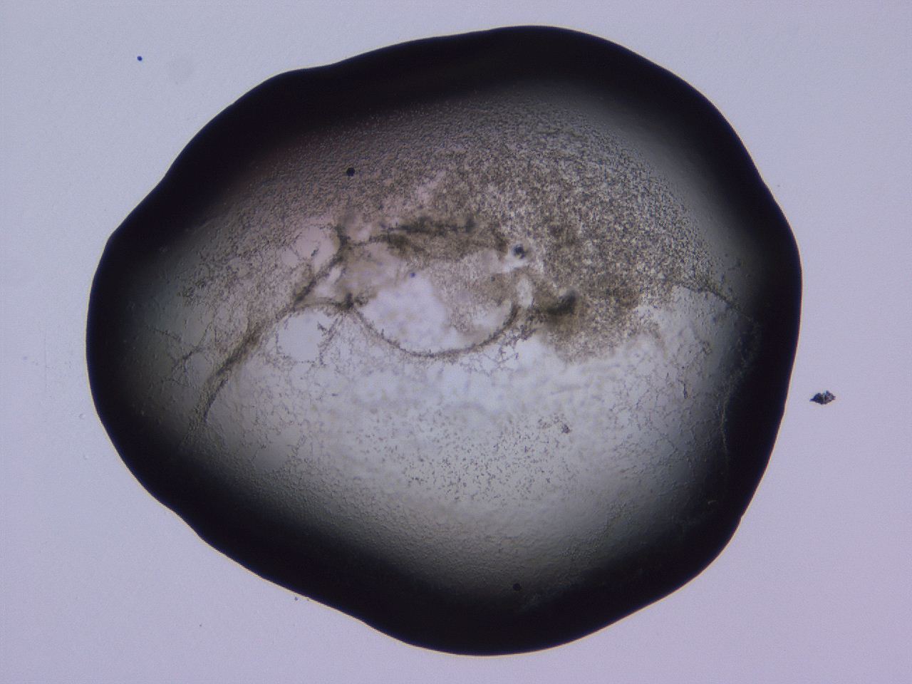 04hp_C5_ImagerDefaults_3.jpg