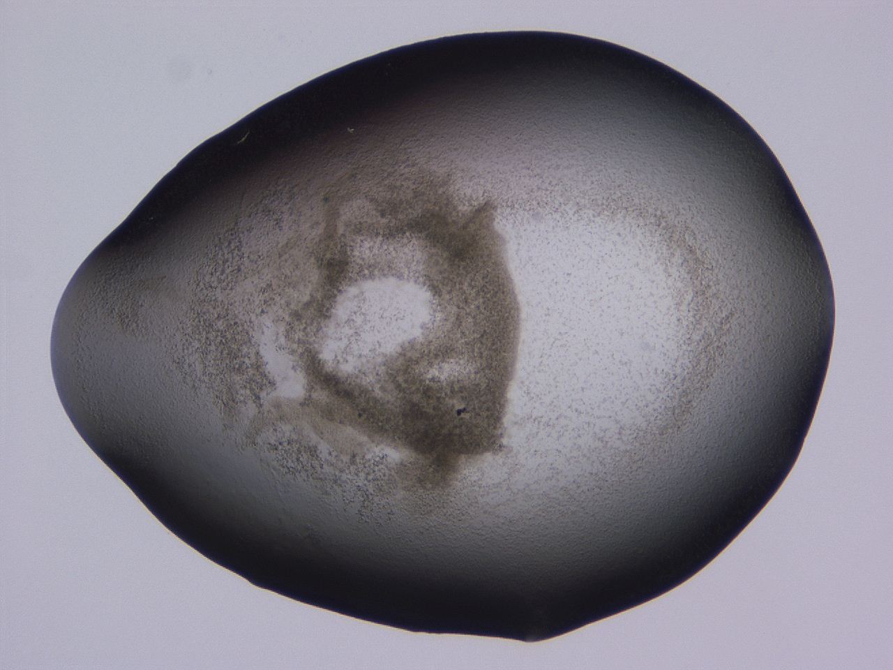 04hp_C8_ImagerDefaults_3.jpg