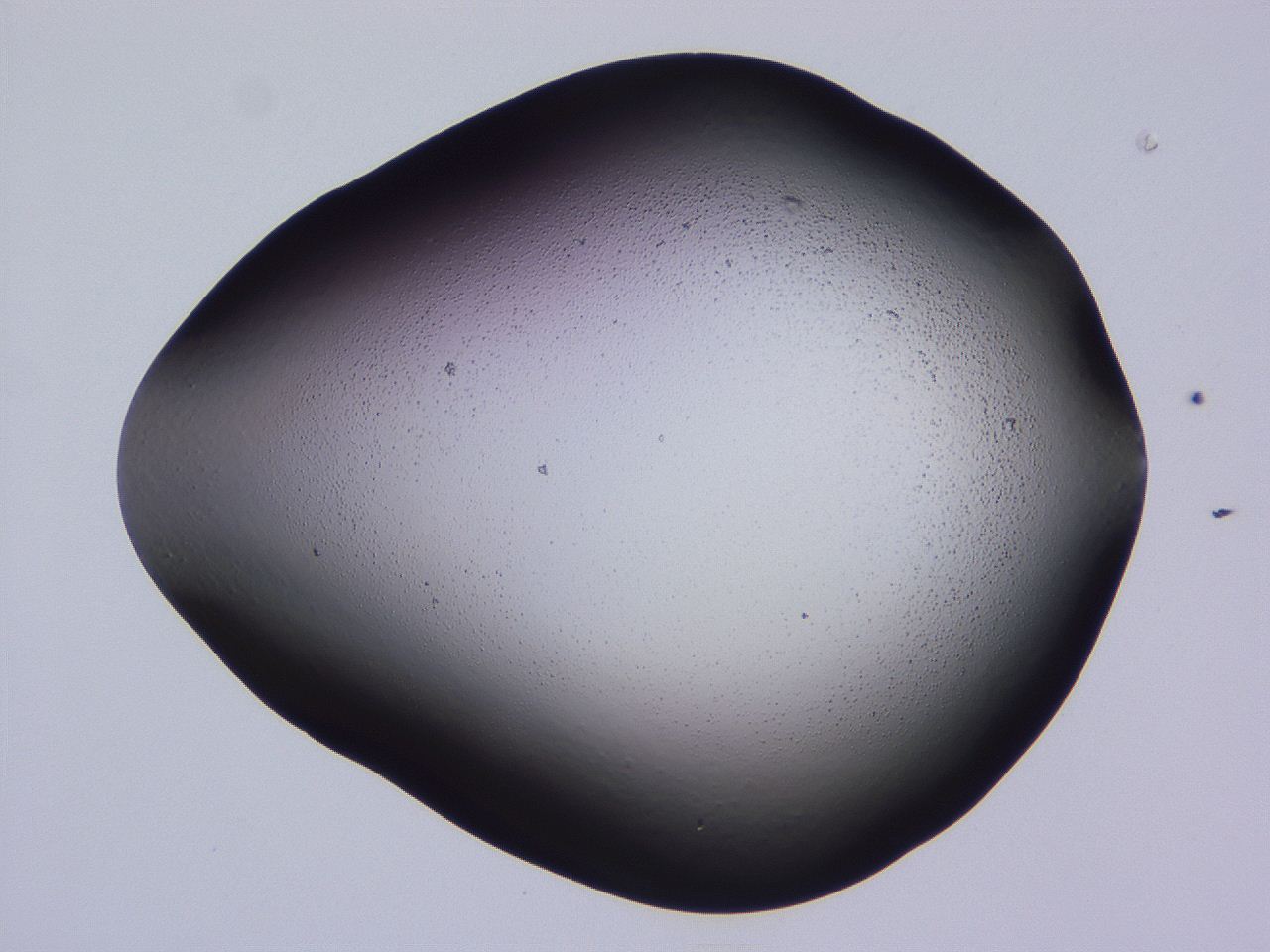 04hp_C9_ImagerDefaults_0.jpg