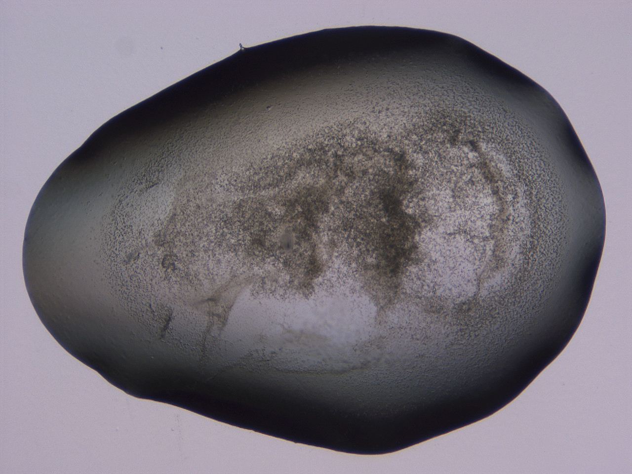 04hp_C10_ImagerDefaults_3.jpg