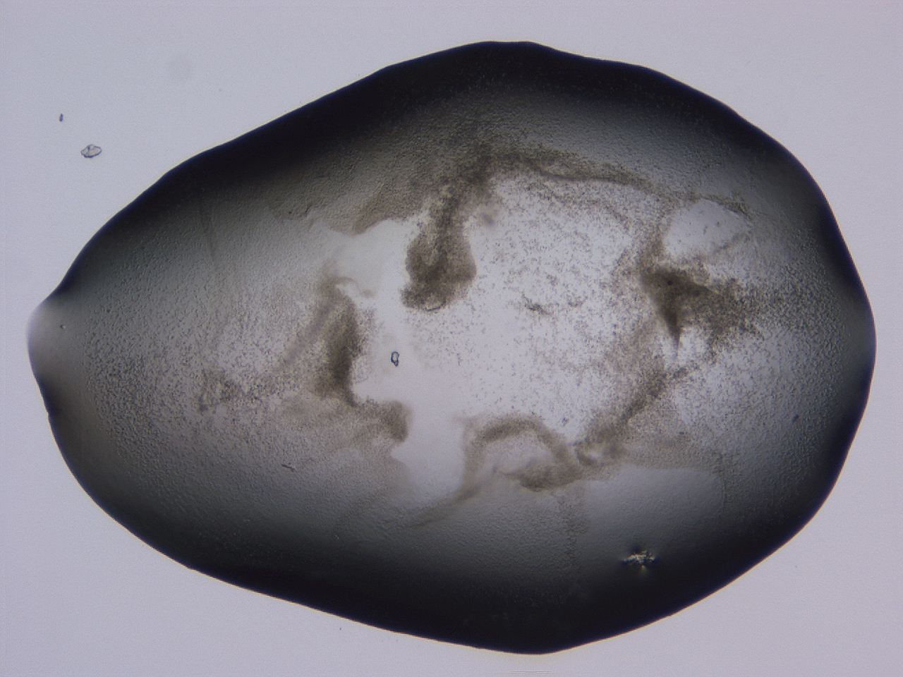 04hp_C11_ImagerDefaults_3.jpg