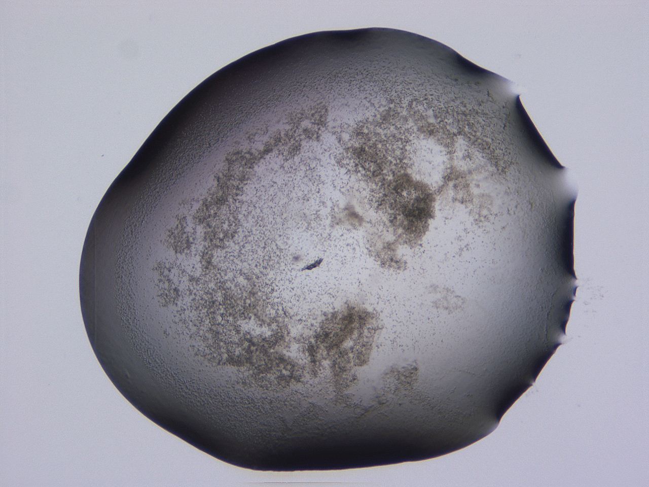 04hp_C12_ImagerDefaults_3.jpg