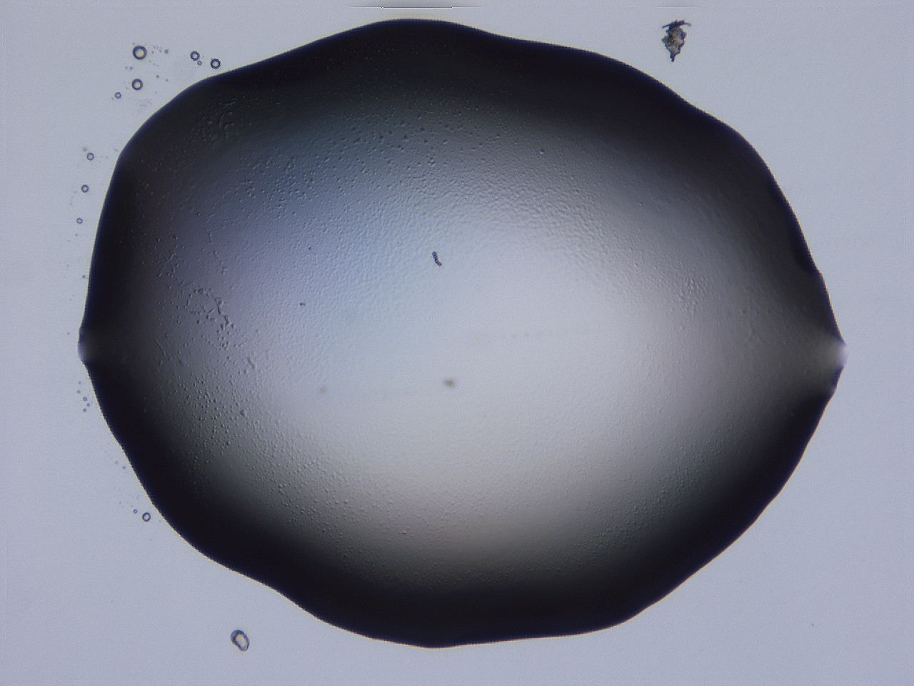 04hp_D1_ImagerDefaults_0.jpg