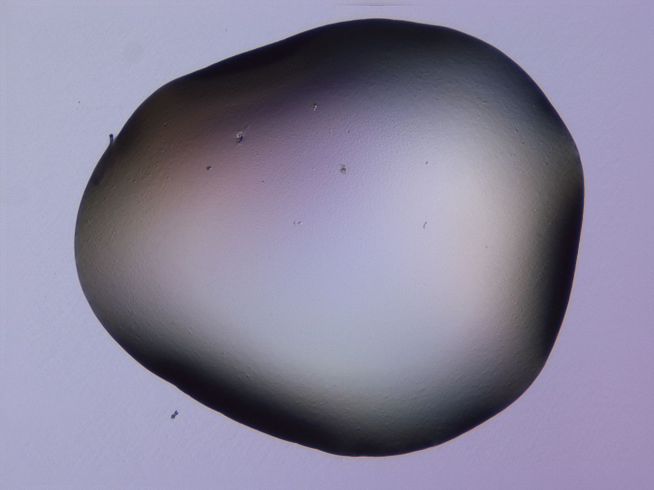 04hp_D2_ImagerDefaults_0.jpg