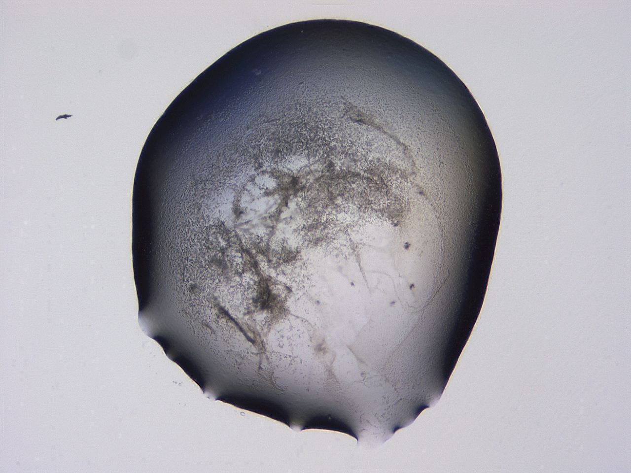 04hp_D4_ImagerDefaults_3.jpg