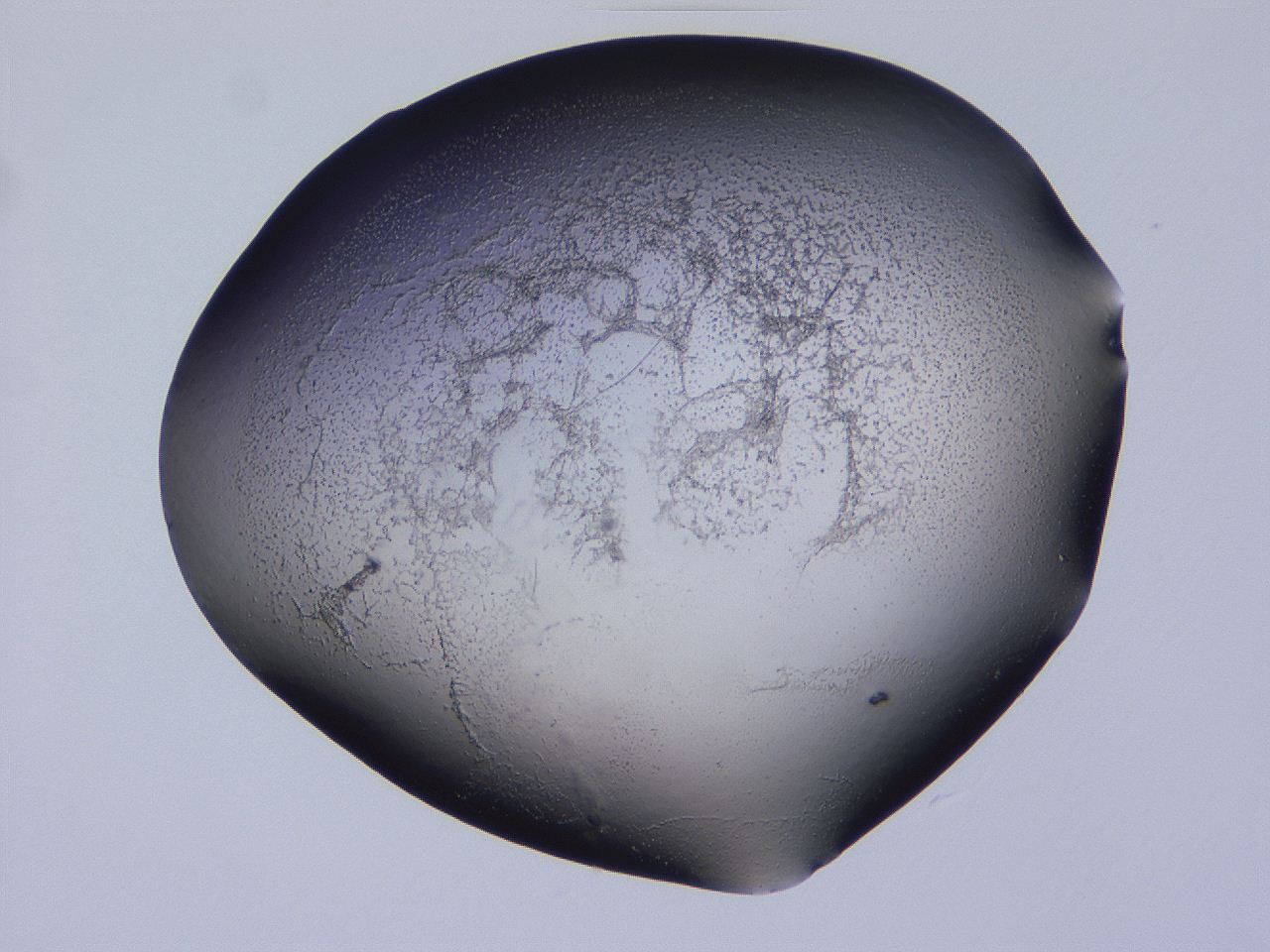 04hp_D5_ImagerDefaults_3.jpg