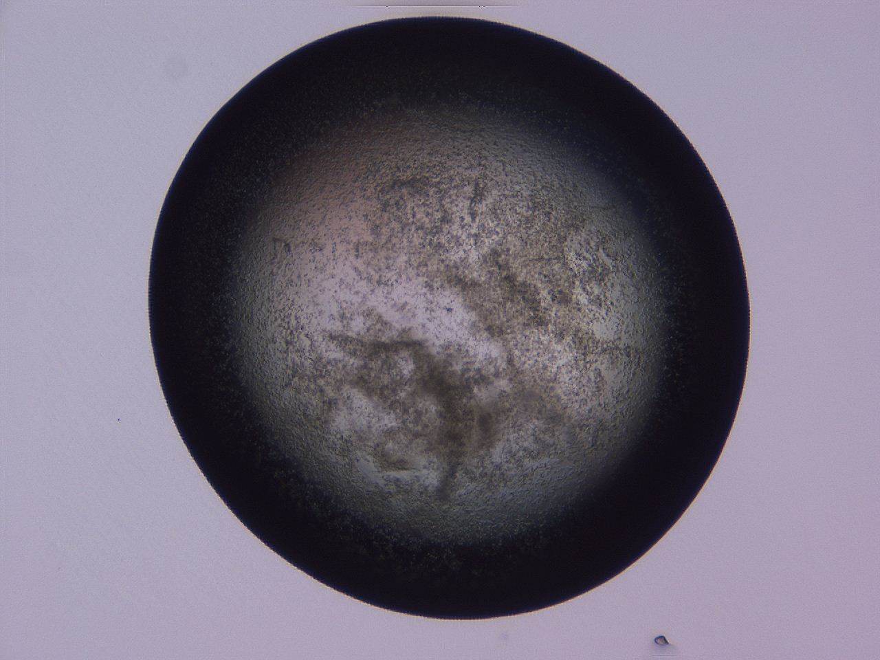 04hp_D6_ImagerDefaults_3.jpg