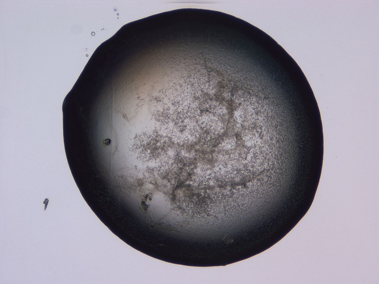 04hp_D7_ImagerDefaults_3.jpg