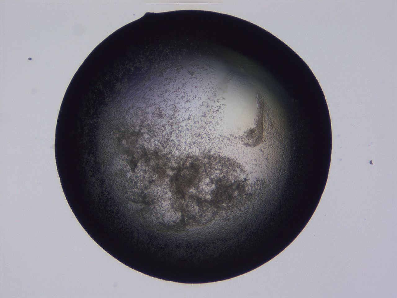 04hp_D8_ImagerDefaults_3.jpg