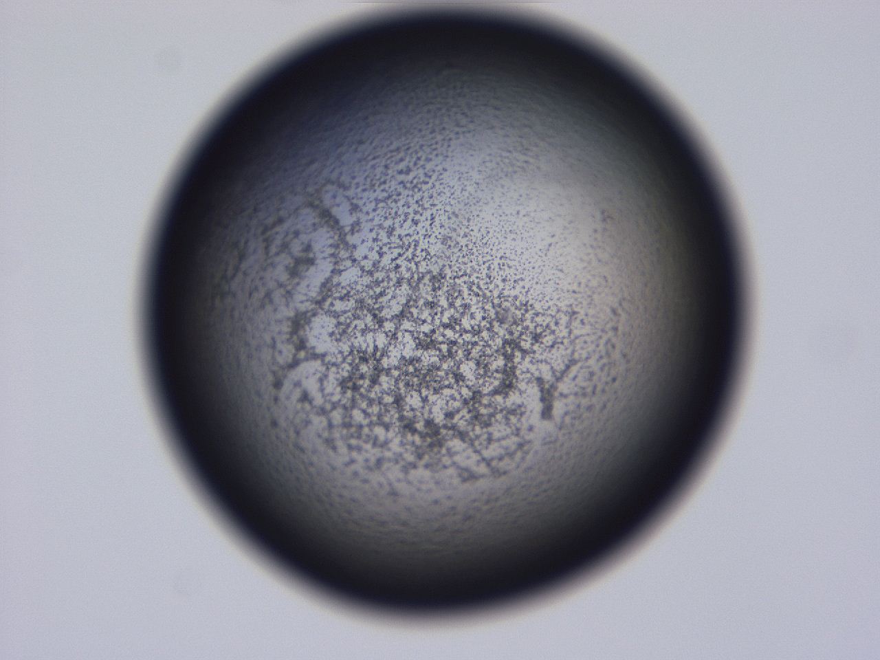 04hp_D9_ImagerDefaults_3.jpg