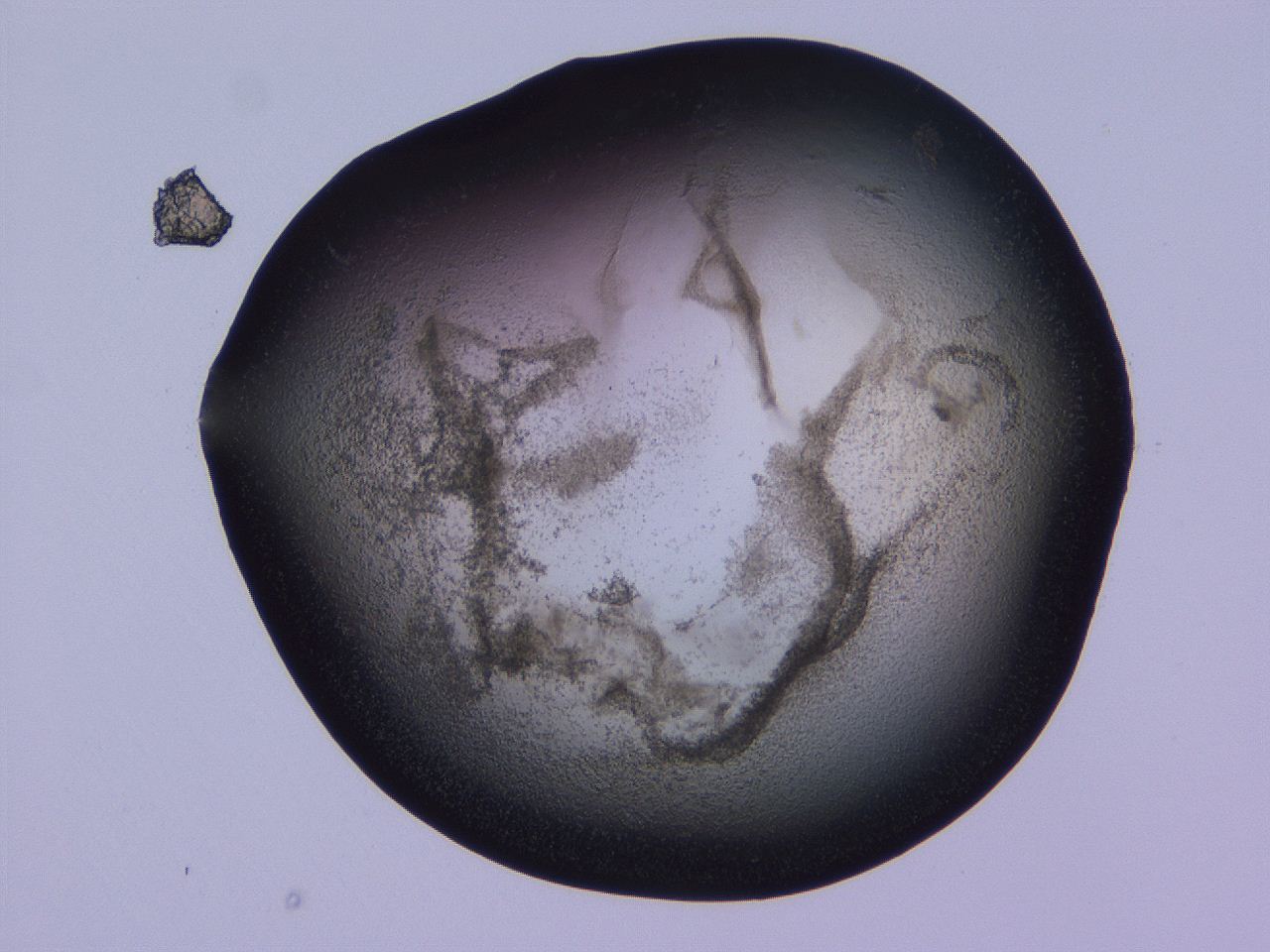 04hp_D10_ImagerDefaults_3.jpg