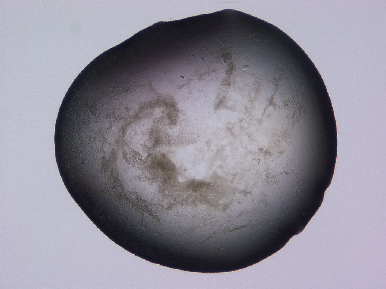 04hp_D11_ImagerDefaults_3.jpg
