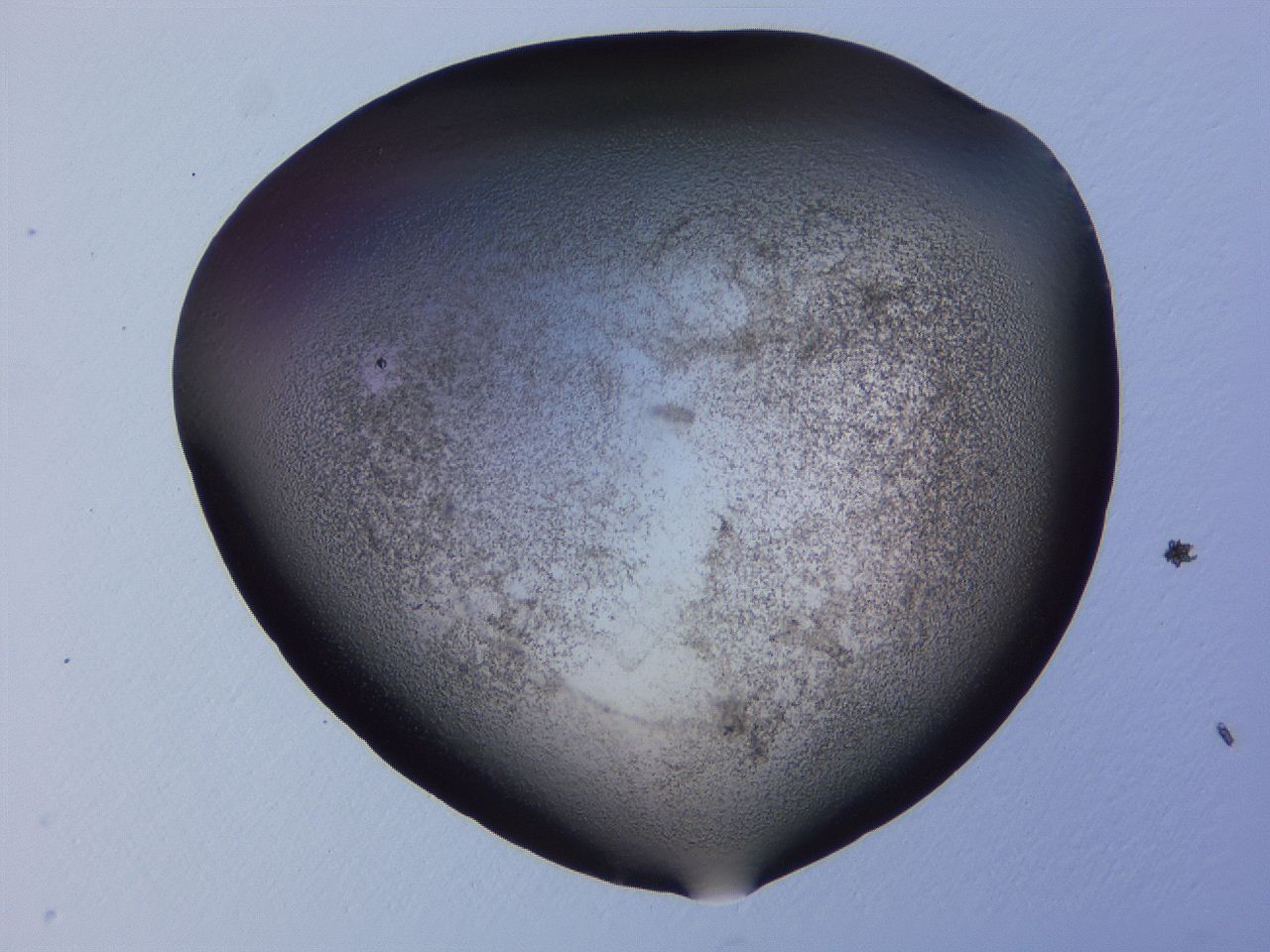 04hp_E2_ImagerDefaults_3.jpg