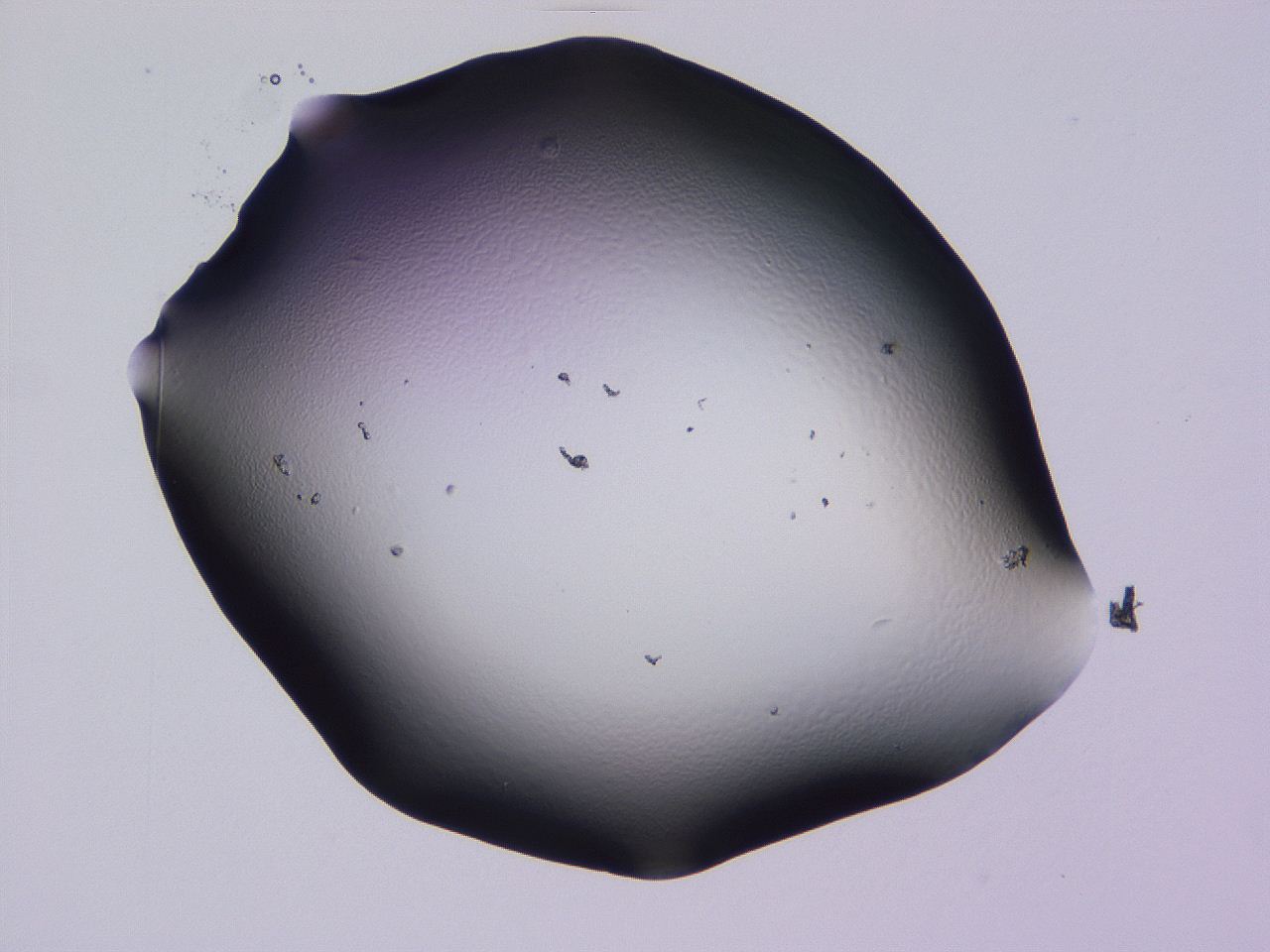 04hp_E7_ImagerDefaults_0.jpg