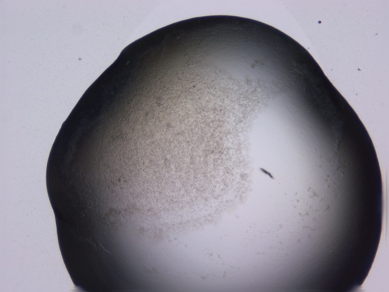 04hp_B12_ImagerDefaults_3.jpg