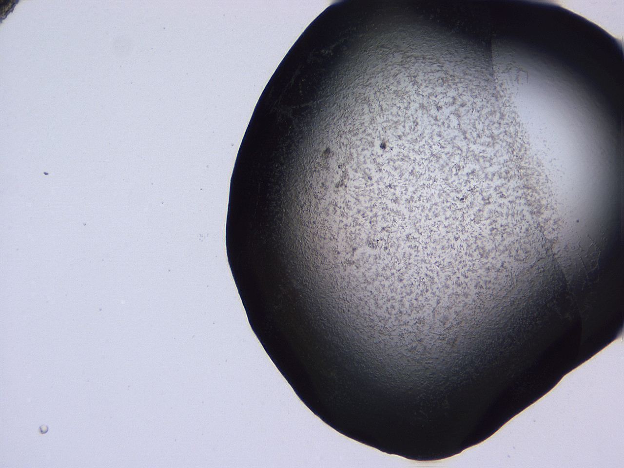 04hp_B11_ImagerDefaults_3.jpg