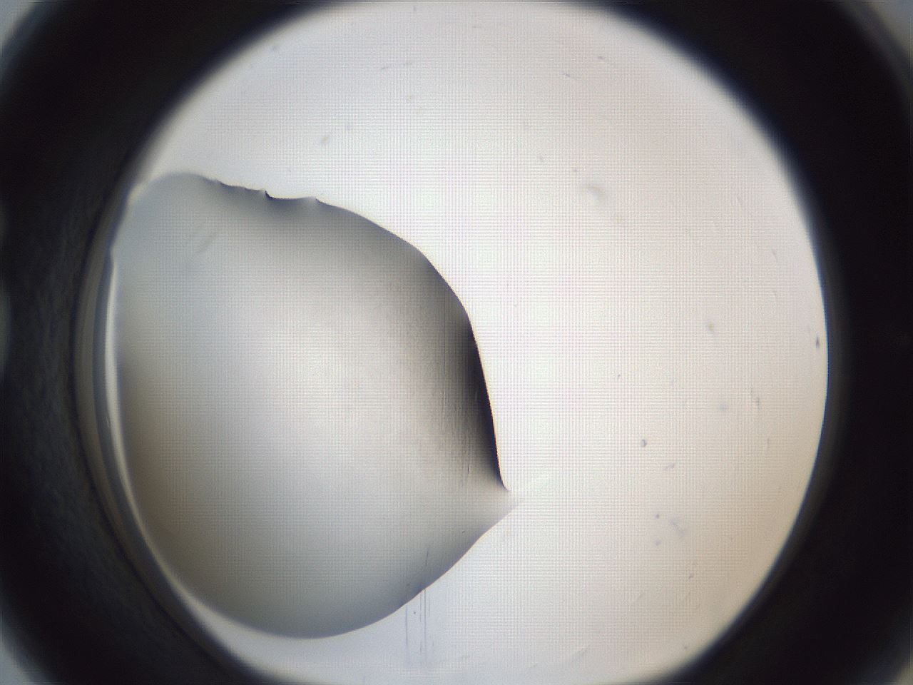 folderID118_plateID1118_batchID2577_wellNum80_profileID1_d1_r56805_ef.jpg
