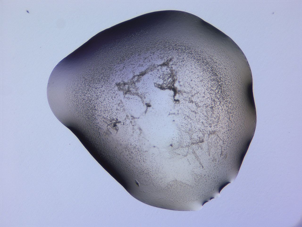 04hp_E10_ImagerDefaults_3.jpg