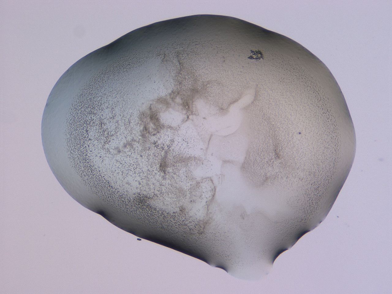 04hp_E12_ImagerDefaults_3.jpg