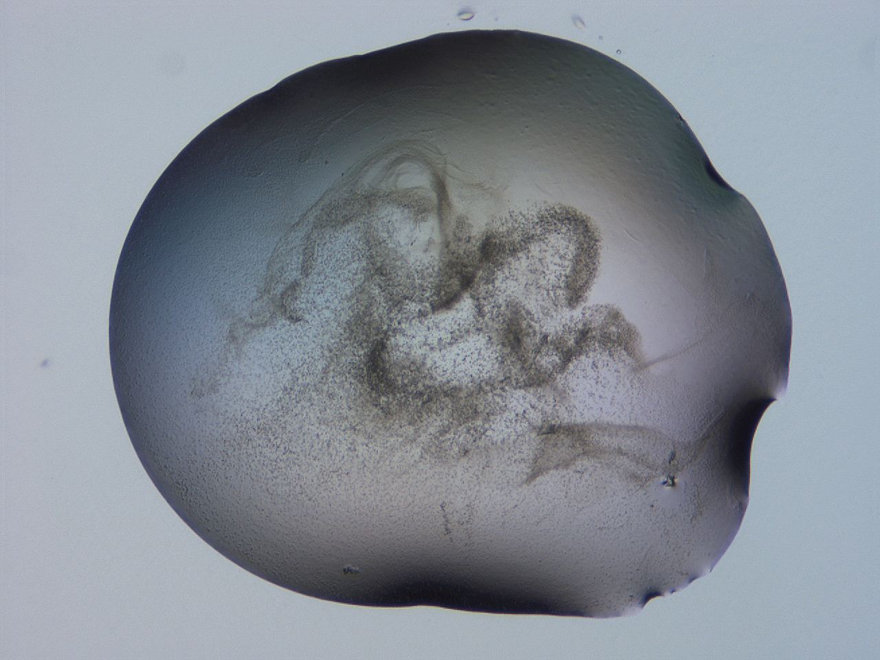 04hp_F2_ImagerDefaults_3.jpg