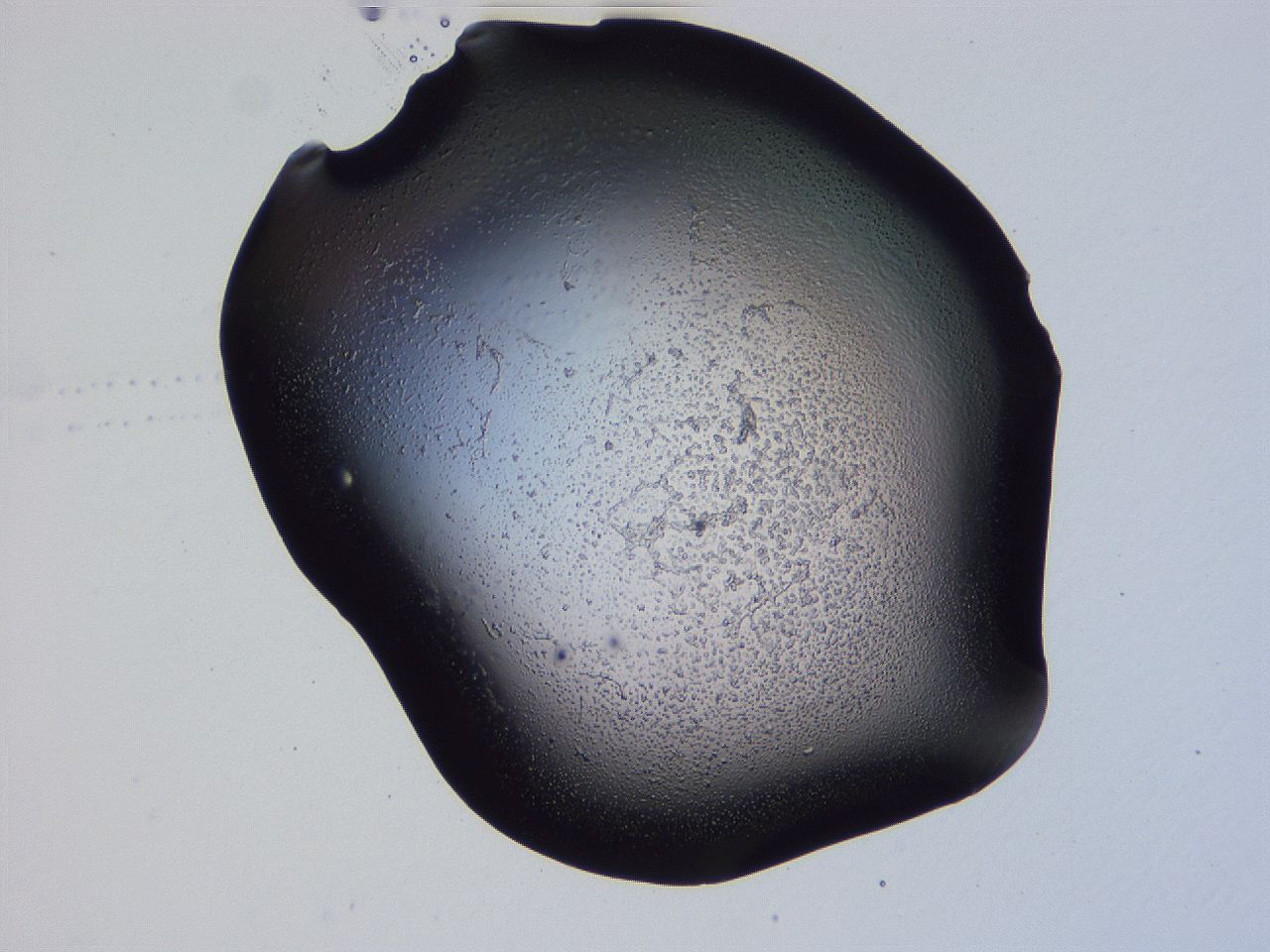 04hp_G1_ImagerDefaults_3.jpg