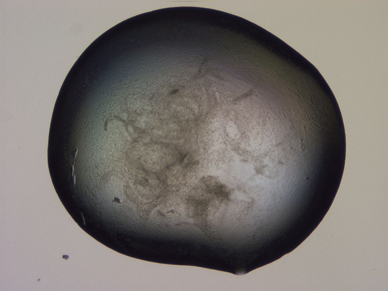 04hp_G2_ImagerDefaults_3.jpg