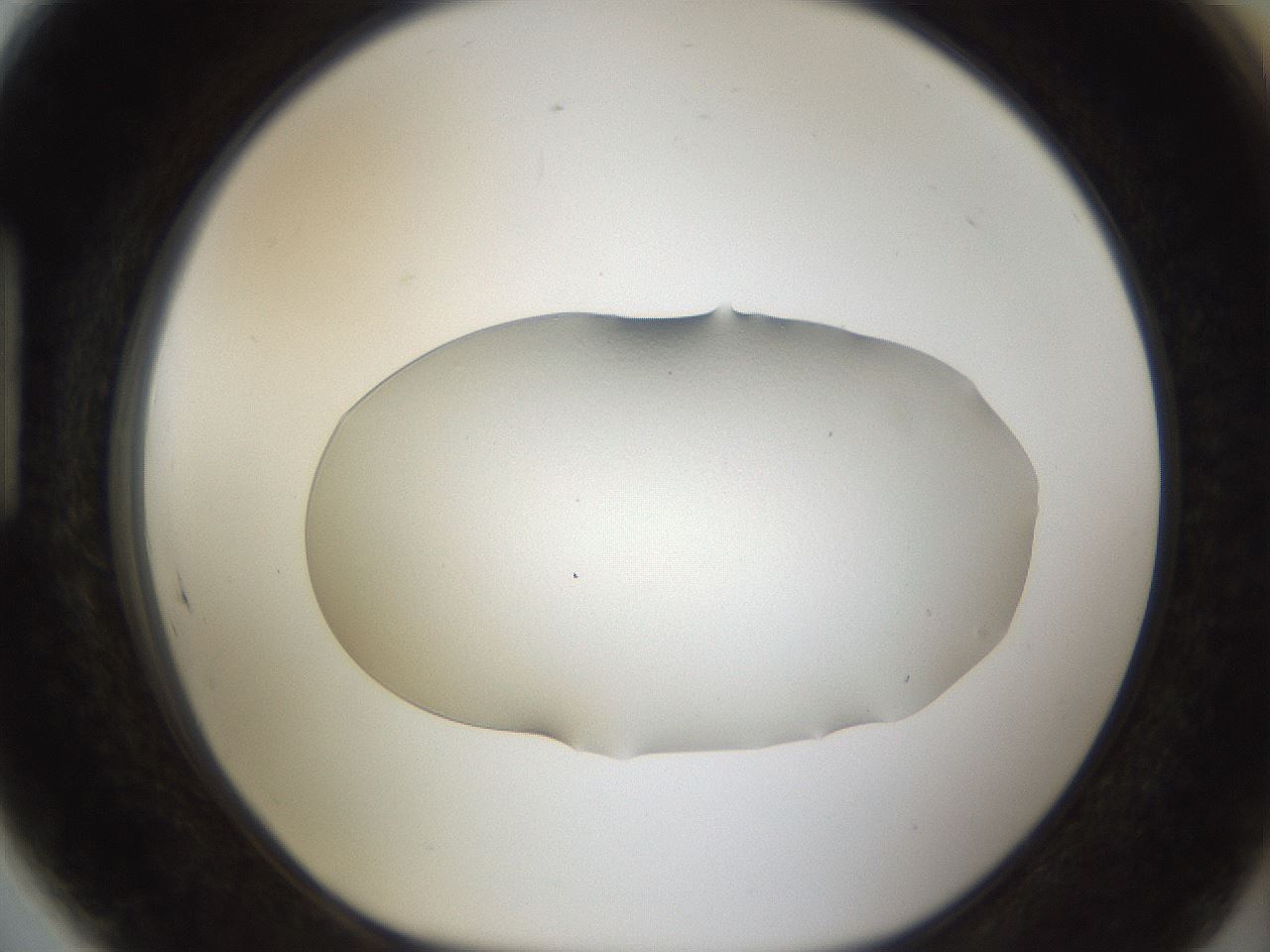 folderID11_plateID1011_batchID1740_wellNum89_profileID1_d1_r42300_ef.jpg