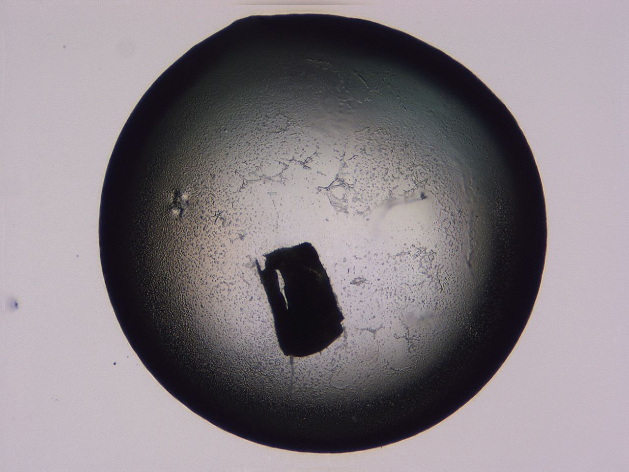 04hp_G4_ImagerDefaults_3.jpg