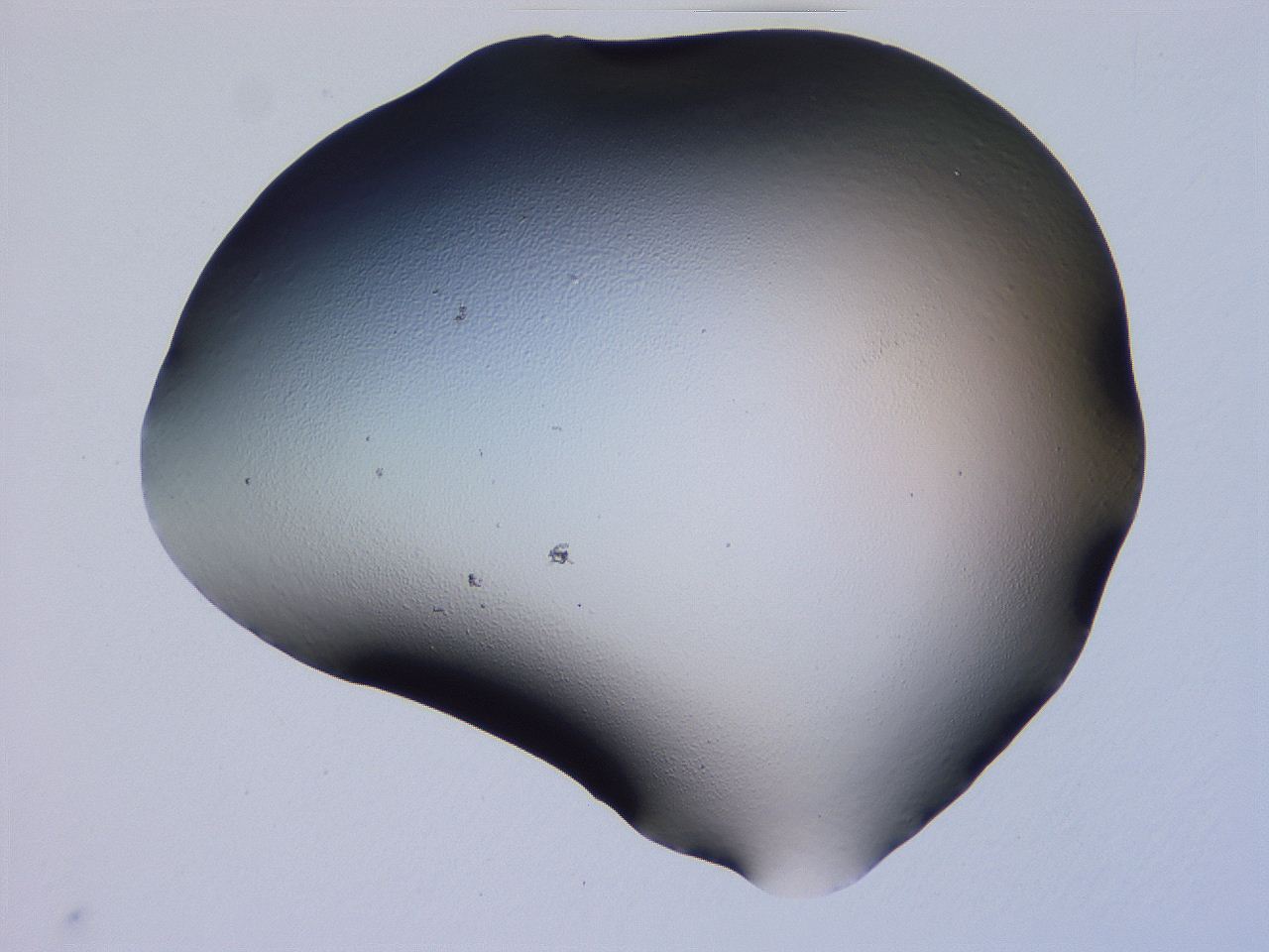 04hp_G5_ImagerDefaults_0.jpg