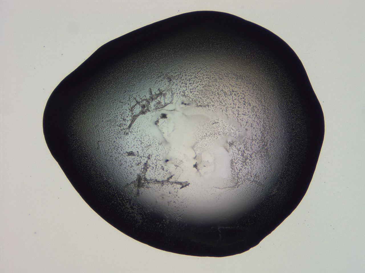 04hp_G10_ImagerDefaults_3.jpg