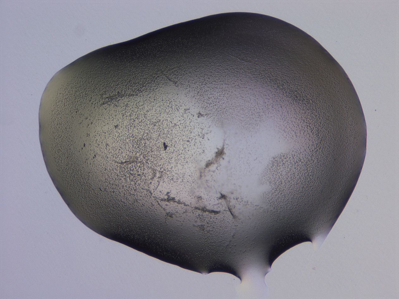 04hp_G12_ImagerDefaults_3.jpg