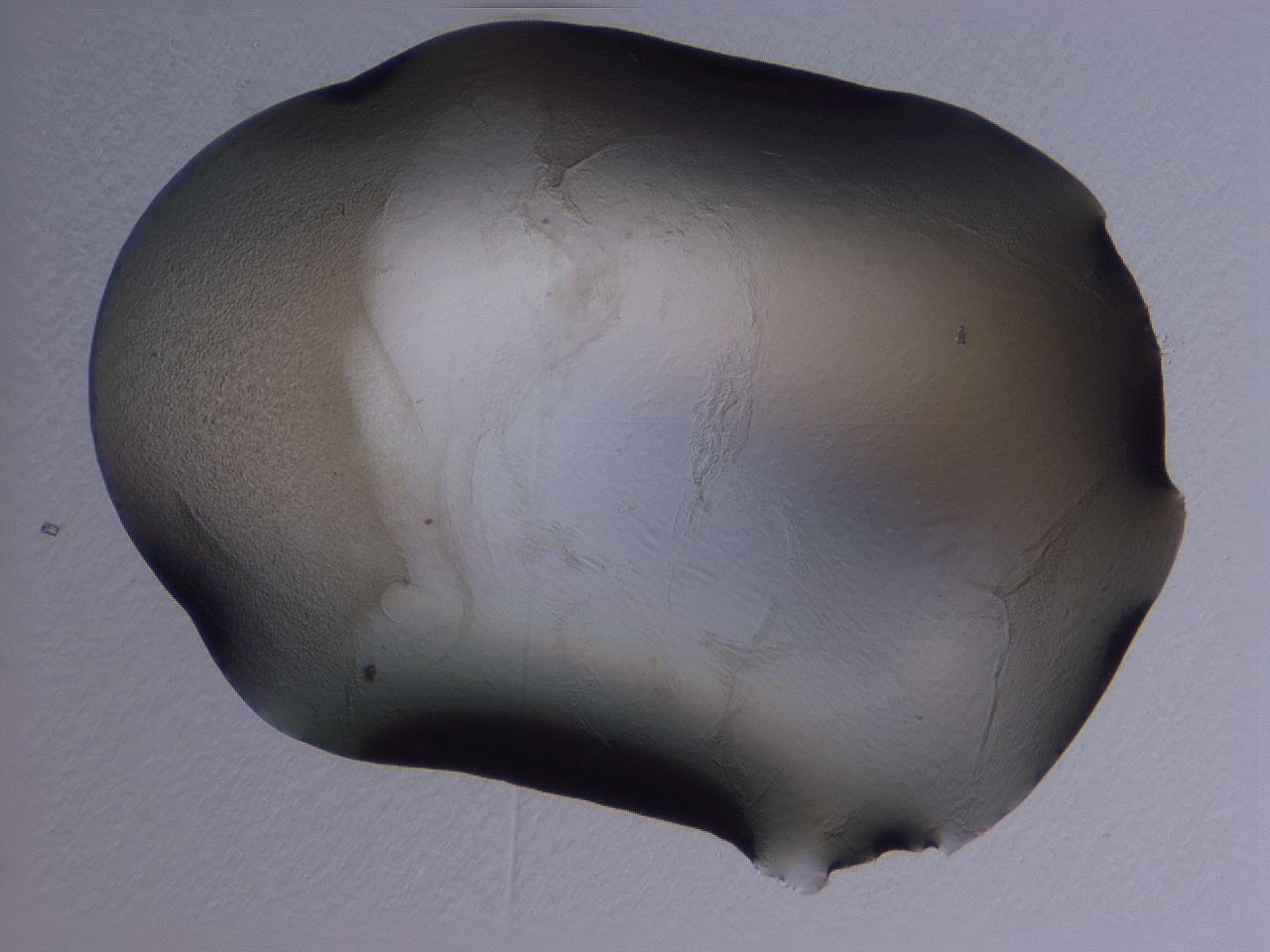 04hp_H5_ImagerDefaults_3.jpg