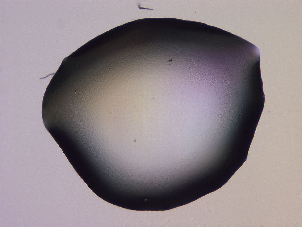 04hp_H6_ImagerDefaults_0.jpg