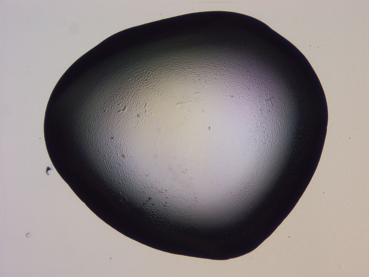 04hp_H10_ImagerDefaults_0.jpg