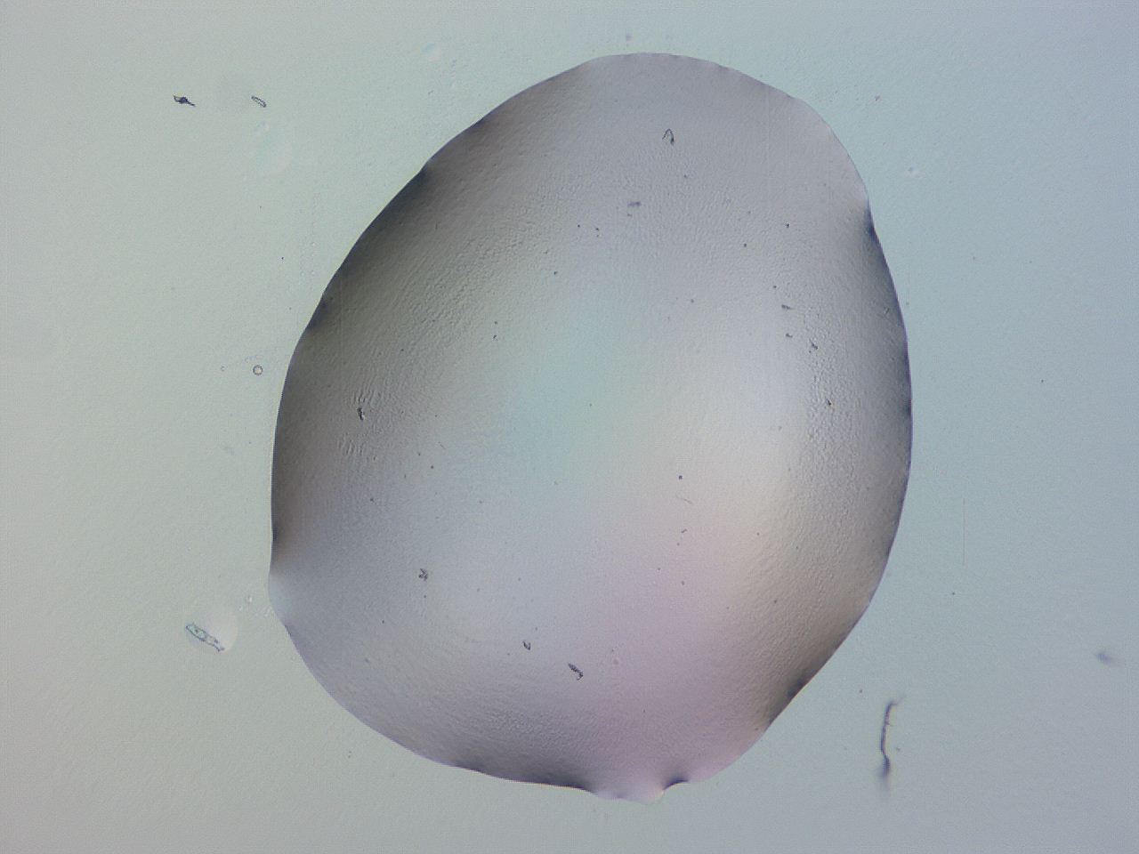 04hp_H11_ImagerDefaults_0.jpg