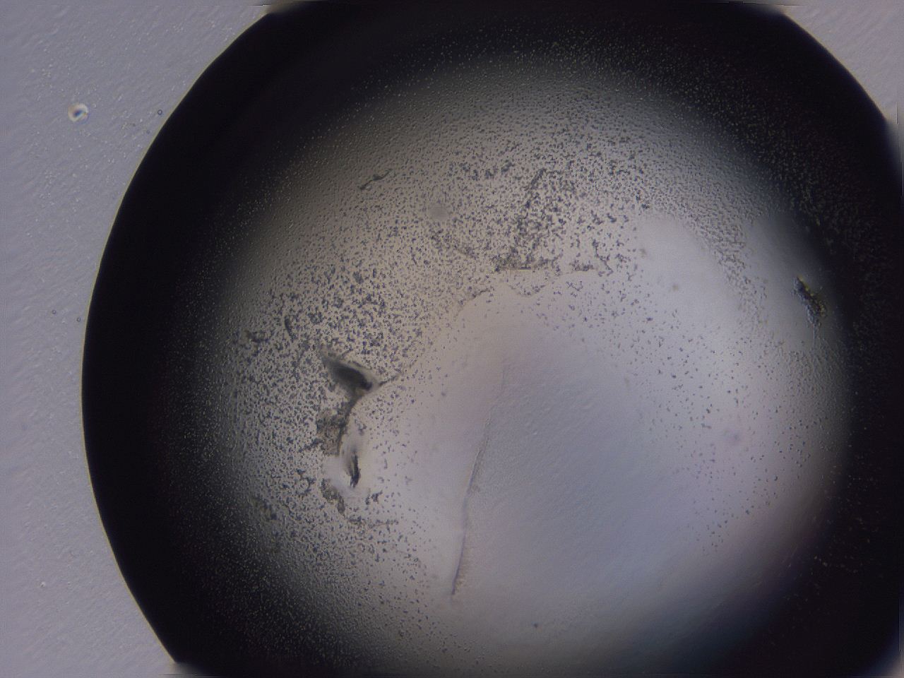 04hp_H12_ImagerDefaults_3.jpg