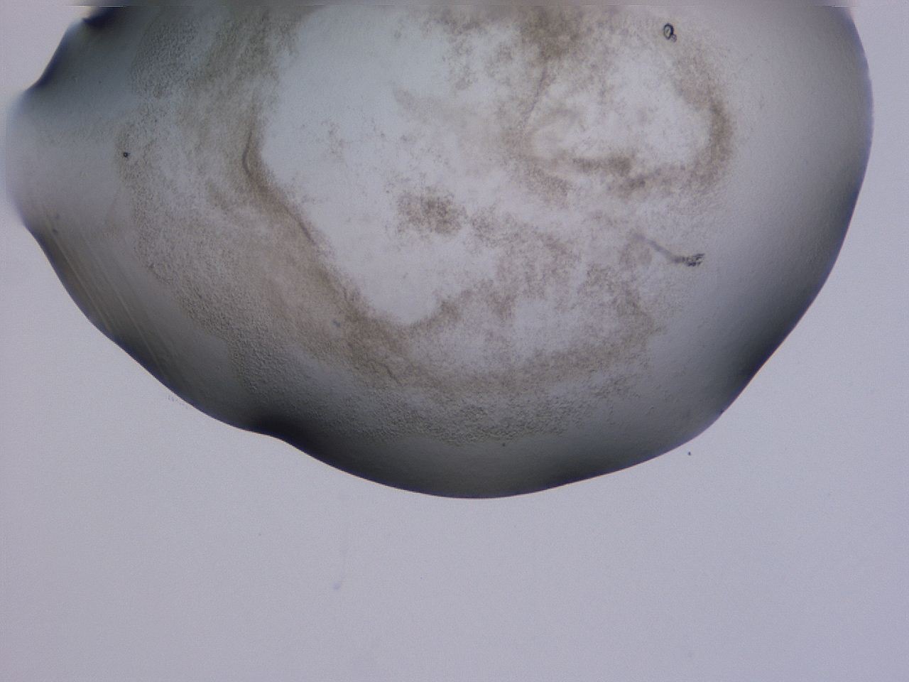 04hq_B8_ImagerDefaults_3.jpg