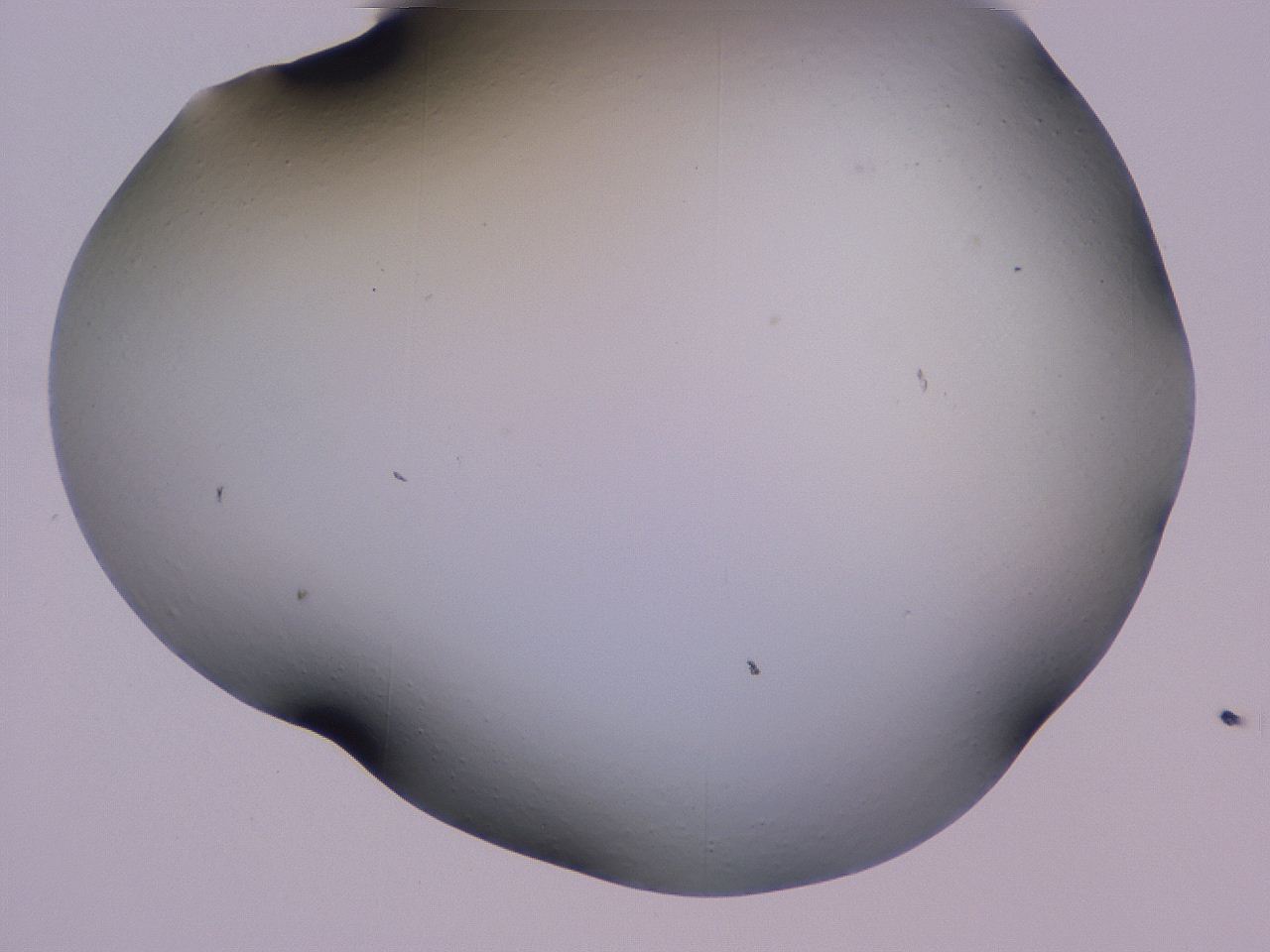 04hq_C2_ImagerDefaults_0.jpg