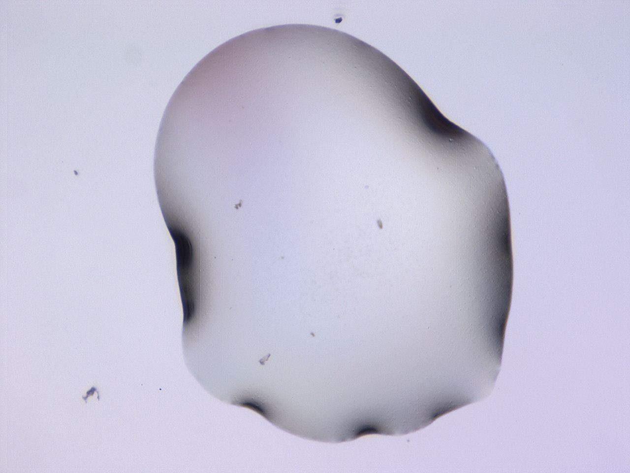 04hq_C4_ImagerDefaults_0.jpg
