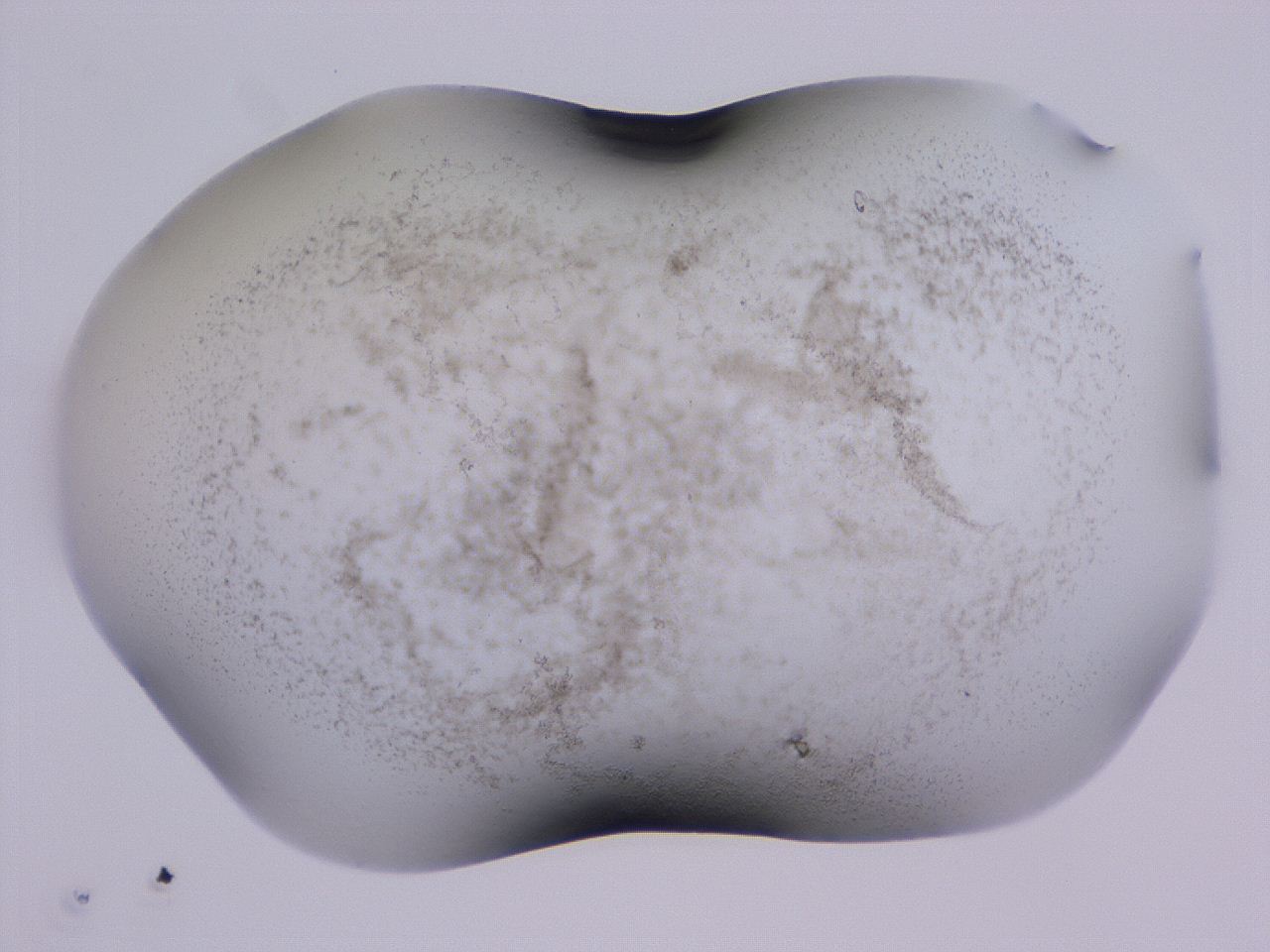 04hq_B12_ImagerDefaults_3.jpg