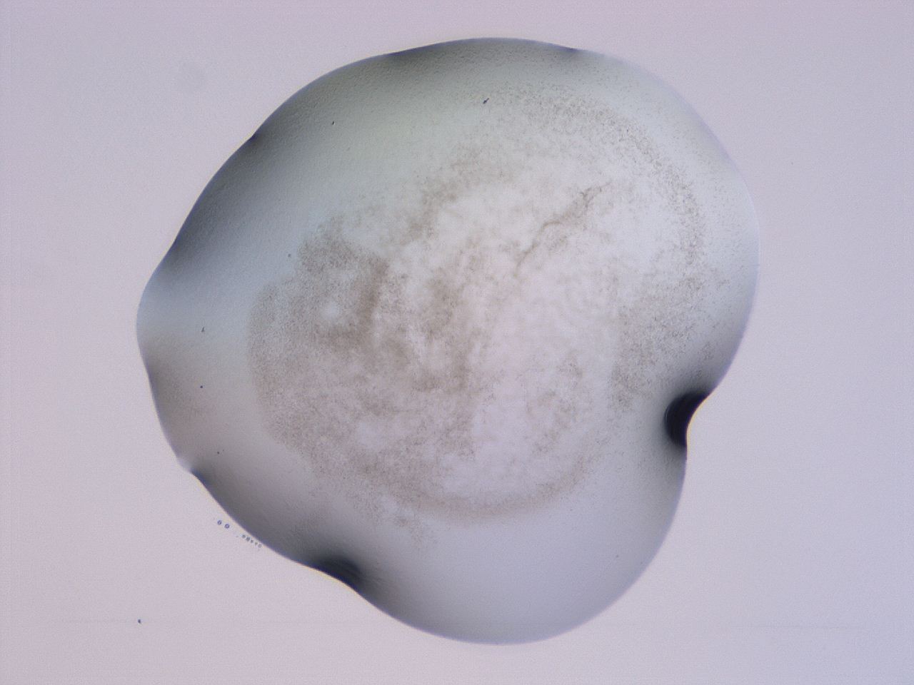 04hq_B9_ImagerDefaults_3.jpg