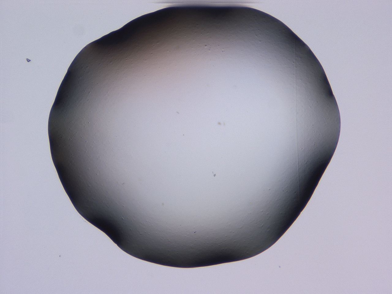04hq_C8_ImagerDefaults_0.jpg