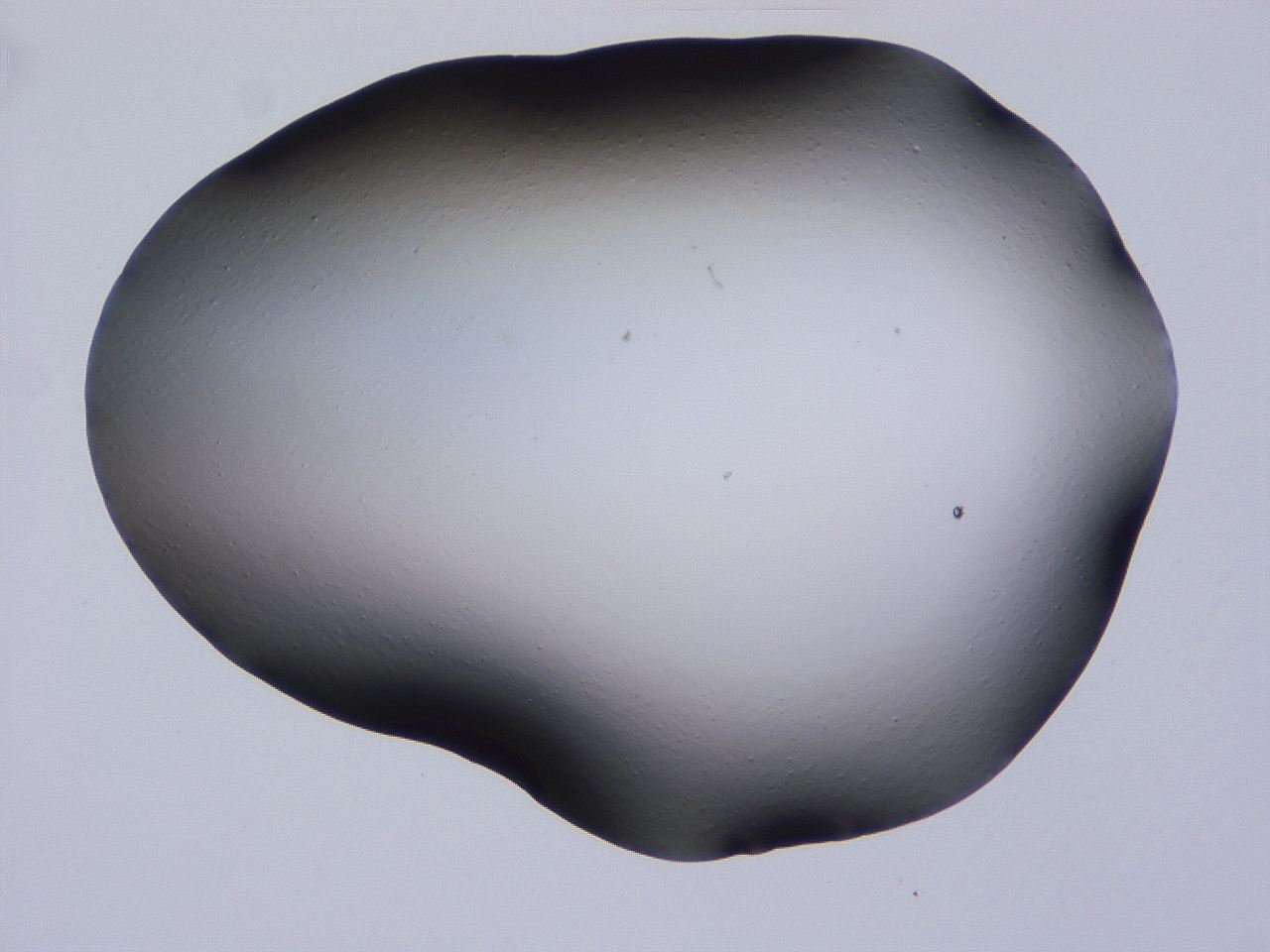 04hq_C11_ImagerDefaults_0.jpg