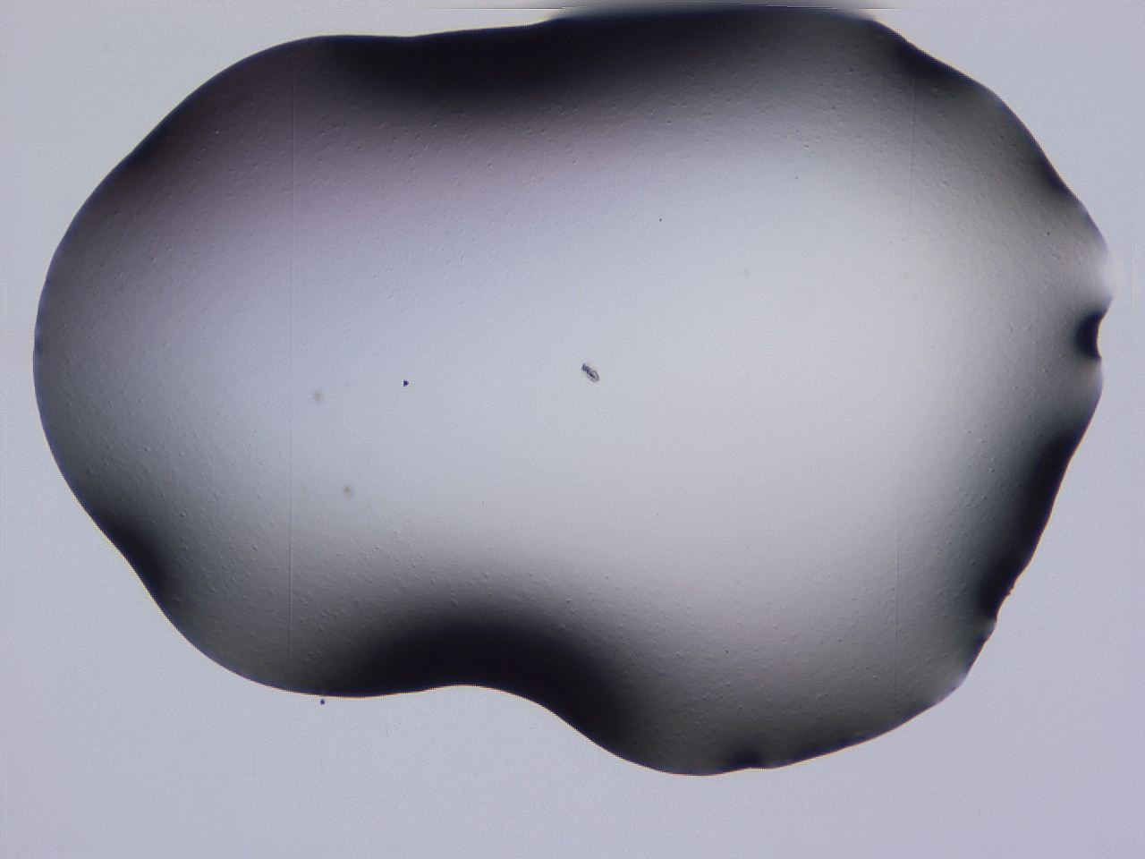 04hq_C12_ImagerDefaults_0.jpg