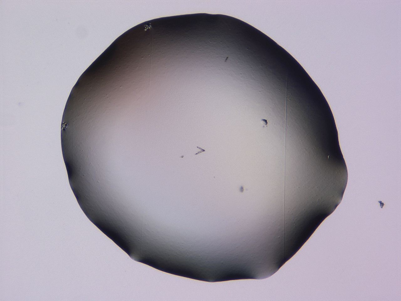 04hq_D2_ImagerDefaults_0.jpg