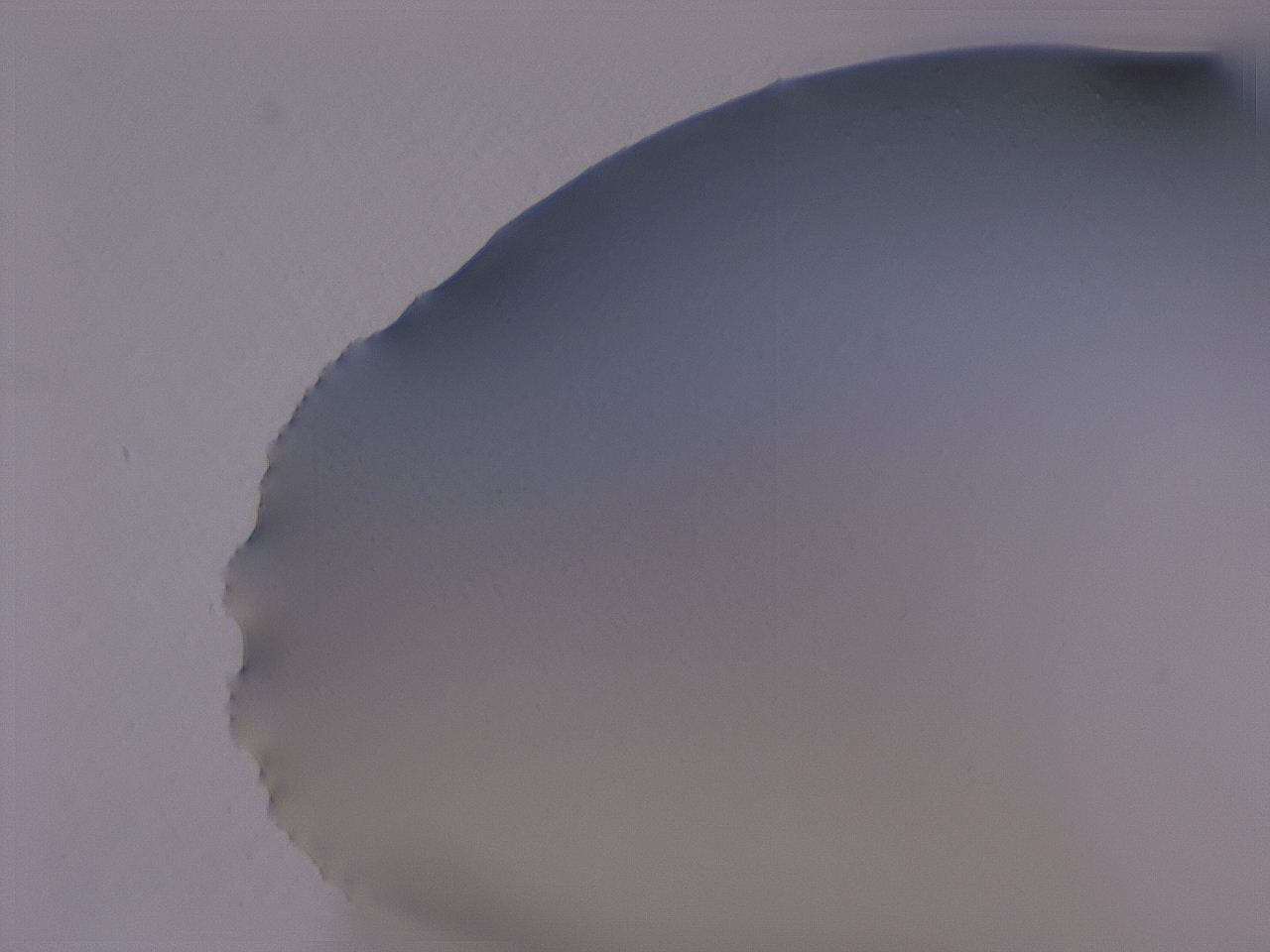 04hq_A9_ImagerDefaults_0.jpg
