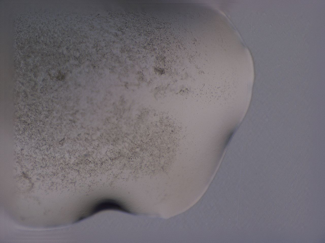 04hq_A2_ImagerDefaults_3.jpg