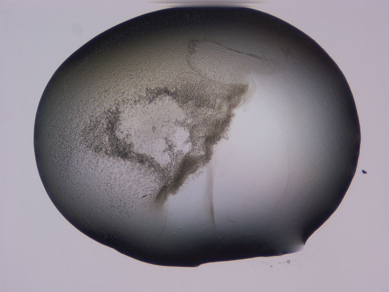 04hq_D6_ImagerDefaults_3.jpg