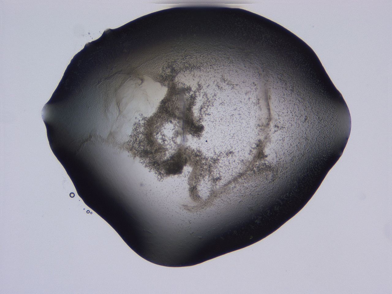 04hq_D7_ImagerDefaults_3.jpg